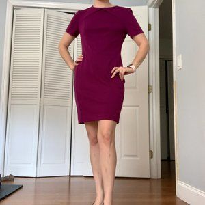 Banana Republic Plum Shift Dress sz 2 EUC